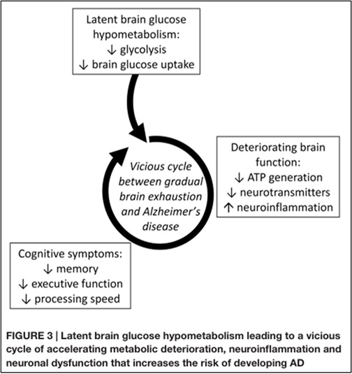 Ketones can rescue brain energy later in life