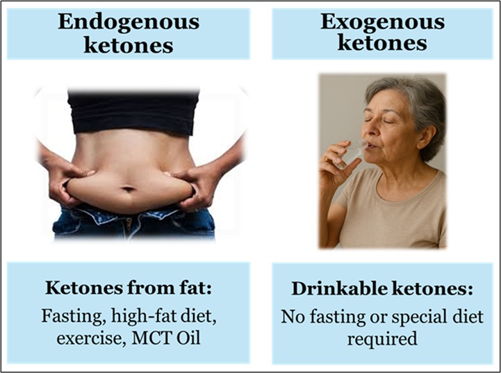 Exogenous vs endogenous ketones
