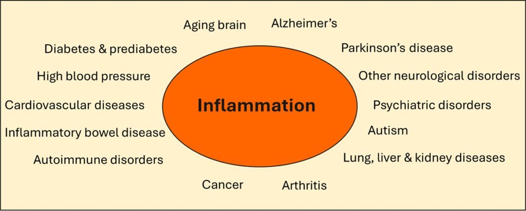 Health issues with inflammation as a key feature