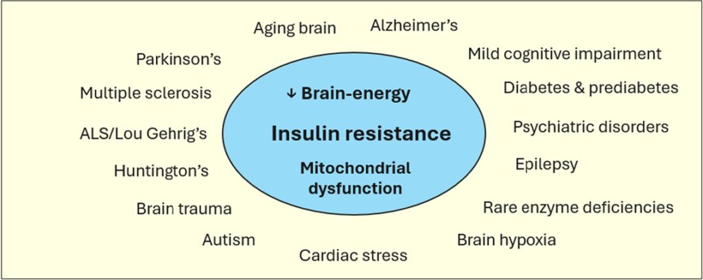 Disorders with insulin resistance, decreased brain energy, and mitochondrial dysfunction