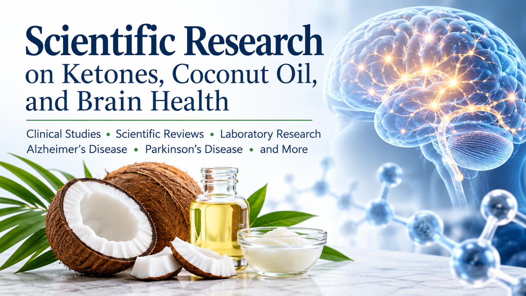 Scientific Research on Ketones, Coconut Oil, and Brain Health Illustration of a human brain with neural connections, coconuts, and coconut oil, representing scientific research on ketones and brain health.